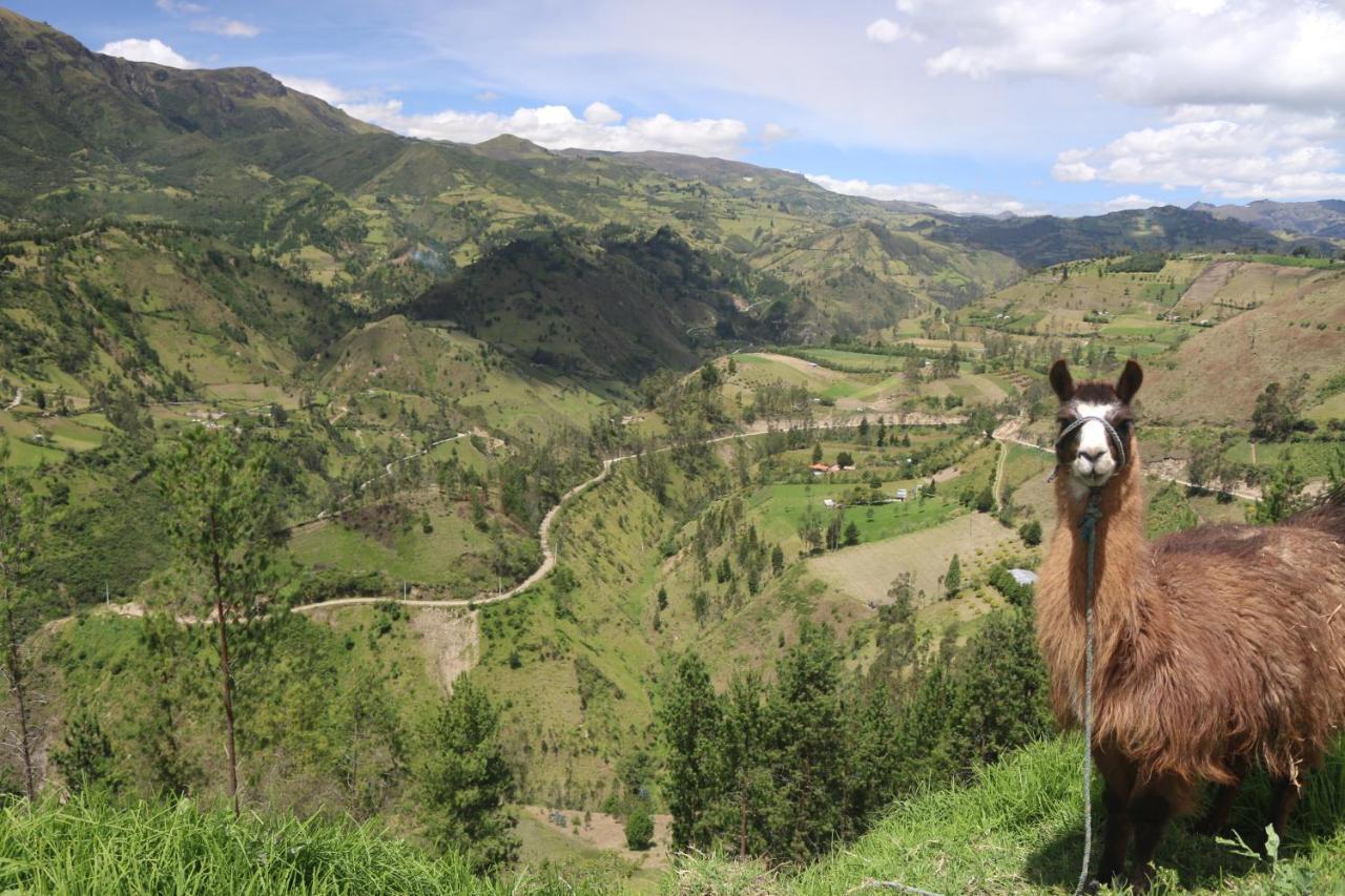Starlight Mountain Lodge Sigchos Bagian luar foto